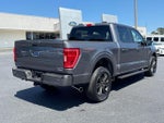 2021 F-150 Thumbnail 4