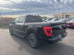 2021 F-150 Thumbnail 4