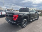 2021 F-150 Thumbnail 7
