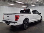 2021 F-150 Thumbnail 26