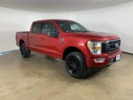 2021 F-150 Thumbnail 5