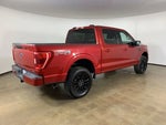 2021 F-150 Thumbnail 8