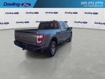 2021 F-150 Thumbnail 3