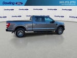 2021 F-150 Thumbnail 4