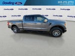 2021 F-150 Thumbnail 5