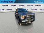 2021 F-150 Thumbnail 6