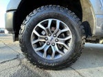 2021 F-150 Thumbnail 10