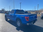 2021 F-150 Thumbnail 3