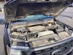 2021 F-150 Thumbnail 19