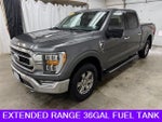 2021 F-150 Thumbnail 9