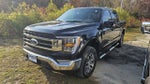 2021 F-150 Thumbnail 1