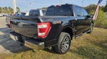 2021 F-150 Thumbnail 4