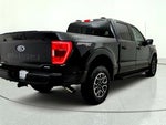 2022 F-150 Thumbnail 5
