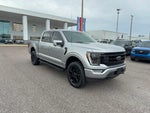2022 F-150 Thumbnail 4