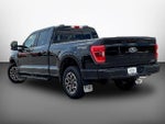 2022 F-150 Thumbnail 4