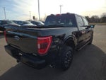 2022 F-150 Thumbnail 5