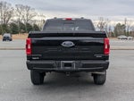 2022 F-150 Thumbnail 5