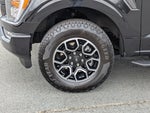 2022 F-150 Thumbnail 10