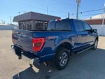 2022 F-150 Thumbnail 7