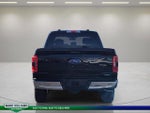 2022 F-150 Thumbnail 4