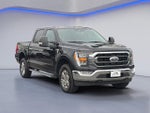 2022 F-150 Thumbnail 9