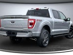 2022 F-150 Thumbnail 6