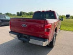 2022 F-150 Thumbnail 10