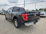 2022 F-150 Thumbnail 6
