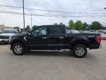 2022 F-150 Thumbnail 7