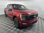 2022 F-150 Thumbnail 2