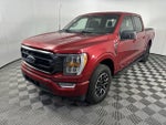 2022 F-150 Thumbnail 4
