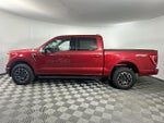2022 F-150 Thumbnail 5