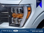 2022 F-150 Thumbnail 9