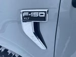 2023 F-150 Thumbnail 10