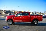 2023 F-150 Thumbnail 4