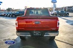 2023 F-150 Thumbnail 6
