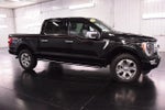 2023 F-150 Thumbnail 10