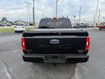 2023 F-150 Thumbnail 5