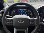 2023 F-150 Thumbnail 14