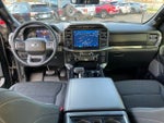 2023 F-150 Thumbnail 8