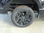 2023 F-150 Thumbnail 6