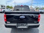 2023 F-150 Thumbnail 5