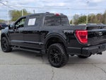 2023 F-150 Thumbnail 6