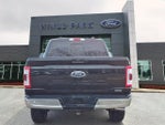 2023 F-150 Thumbnail 6