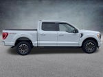 2023 F-150 Thumbnail 4