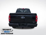 2023 F-150 Thumbnail 8