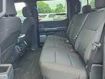 2023 F-150 Thumbnail 12