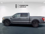 2023 F-150 Thumbnail 5