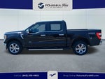 2023 F-150 Thumbnail 8