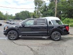 2023 F-150 Thumbnail 4